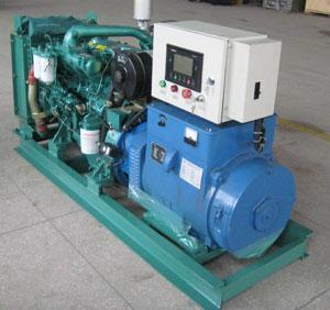 巴马发电机出租 巴马发电机出租